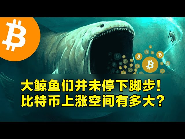 The whales didn’t stop! How much room does Bitcoin have to rise? Stablecoin inflows hit record highs. | OKX is the first choice for cryptocurrency trading