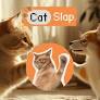 Popcat、MEW 和 MOG 價格更新：新的 Cat Meme Coin Catslap (SLAP) 正在撕毀貓的敘事