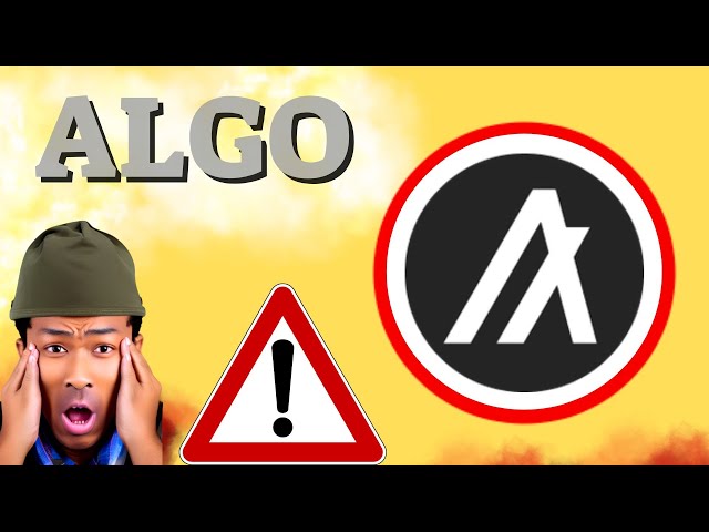 ALGO Prediction 23/NOV ALGORAND COIN Price News Today - Crypto Technical Analysis Update Price Now