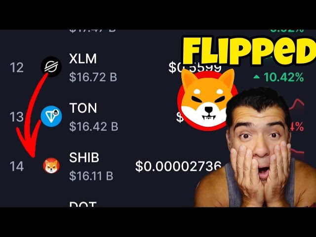 Incroyable pièce de monnaie Shiba Inu inversée XLM PASO de pièce de Shiba #xlm