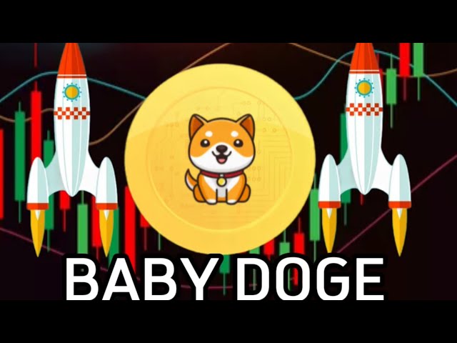 Baby Doge 爆発する準備はできていますか?本日の最新アップデート