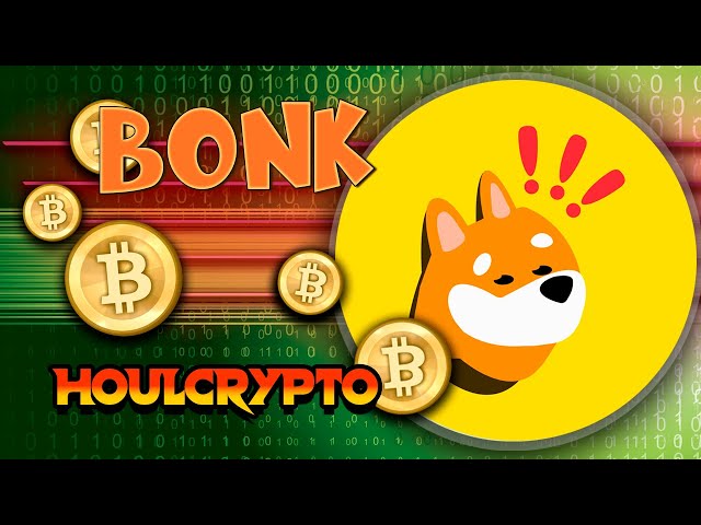 🐶🚀 BONK: Der Memecoin, der Solana revolutioniert! 💸🔥