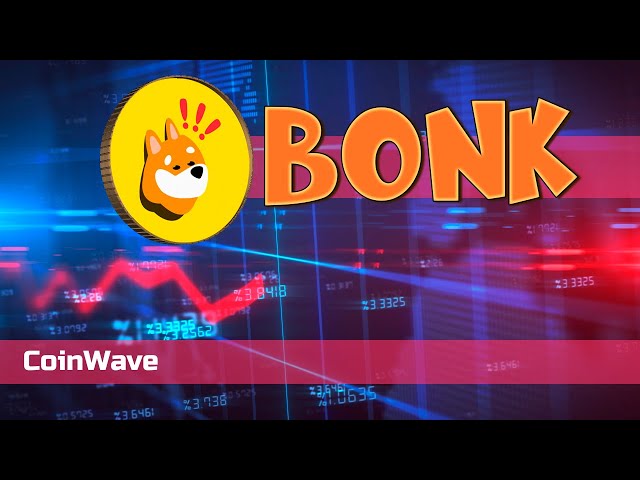 💰🐕 Warum ist BONK der Memecoin, über den alle reden? 💎✨ Hier erfahren Sie es!