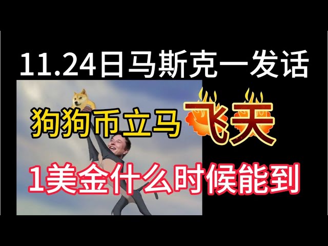 11.24日狗狗币继续飞天！1美金什么时候能到？马斯克已经发话了！