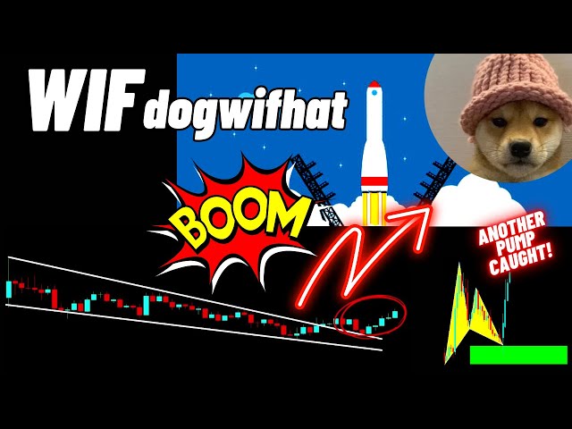 Dogwifhat (WIF) 加密货币突破另一个楔子