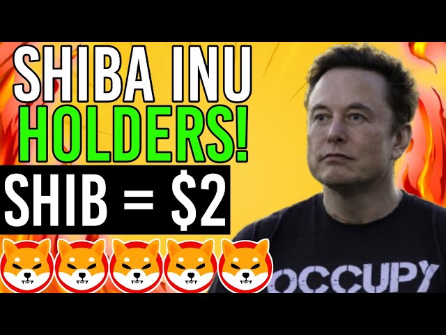 伊隆馬斯克和凱西伍德透露 SHIBA INU COIN 很快就會達到 2 美元！