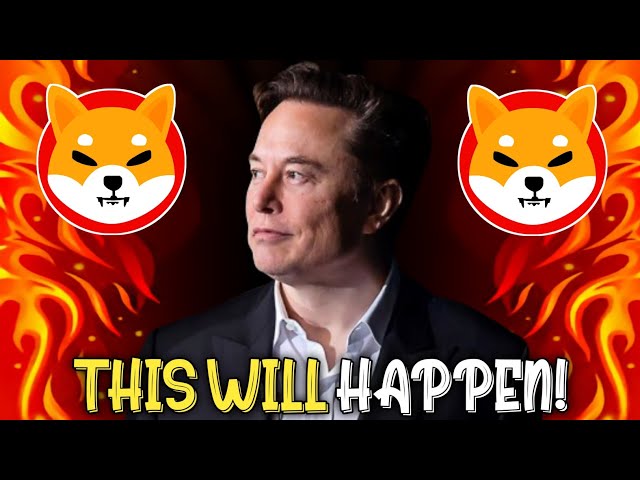 When Elon musk comes out Shiba inu will Go 50x overnight to $1 - SHIB KAI