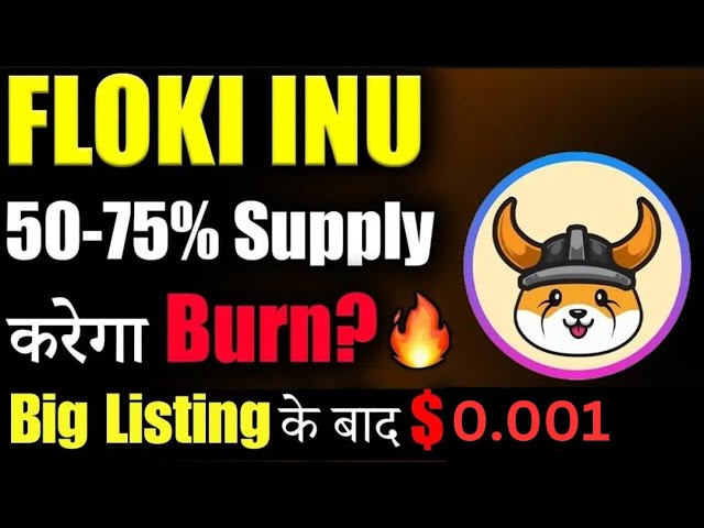 Floki Inu 0,001 $ | Floki Inu Next 100x Memcoin | Preisvorhersage | Verbrennung