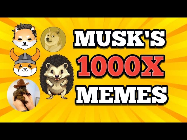 🎊GROSSE NEUIGKEITEN🎊 TOP BESTE (ELON MUSK) INSPIRIERTE MEME-MÜNZEN || BESTE MEME-MÜNZEN FÜR 2025 || 1000X 🚀