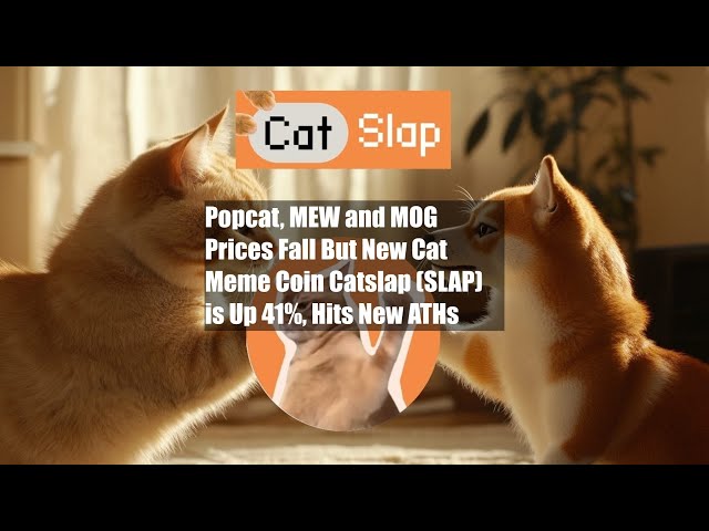 Popcat, MEW 및 MOG 가격은 하락했지만 새로운 Cat Meme Coin Catslap