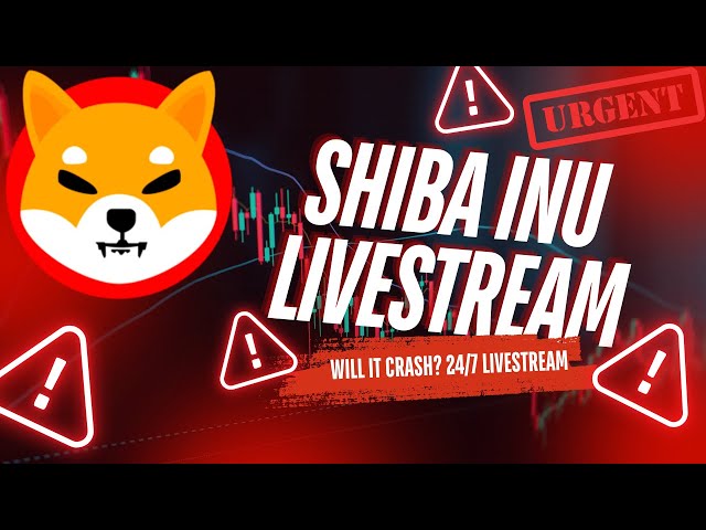 SHIBA INU COIN ライブストリーム - SHIBA INU COIN の最新情報と 2025 年の柴犬価格予測