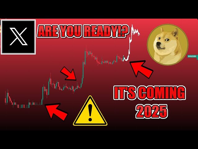 🚨向狗狗幣持有者發出警告🚨 DOGE 最終測試狗狗幣 2025 年 2 美元牛市暴漲非常接近！