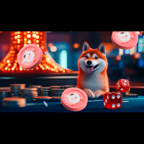 Elon Musk의 DOGE 임명 이후 Dogecoin이 급등했지만 Rollblock(RBLK)은 장기적으로 DOGE를 능가할 것으로 설정되었습니다.