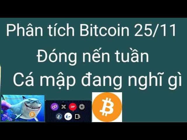 分析 BTC ETH 而非 XRB Dot Doge Sand Pepe ADA 今天 11/25