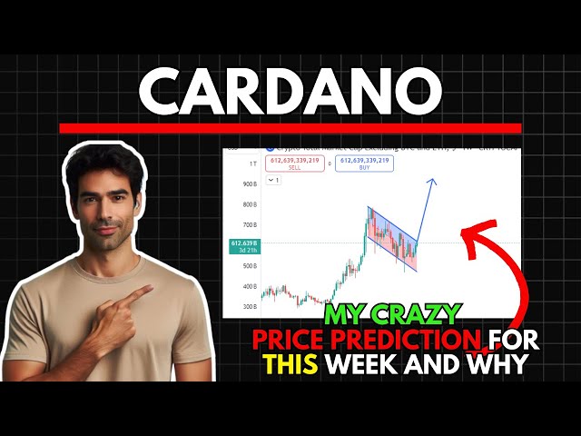 이번 주 나의 Crazy CARDANO ADA 가격 예측