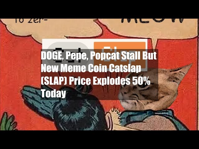 DOGE, Pepe, Popcat décrochent mais nouveau prix Meme Coin Catslap (SLAP)