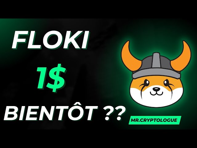 FLOKI COIN 1$ BALD? | NACHRICHTEN ZUM VERBRENNEN VON FLOKI-MÜNZEN