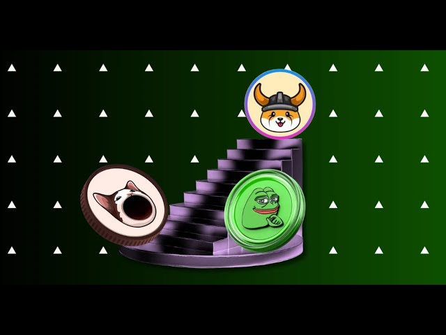 FLOKI, PEPE & BONK Consolidating at the Gains Is This an Indication of the Beginning of a coin Mania