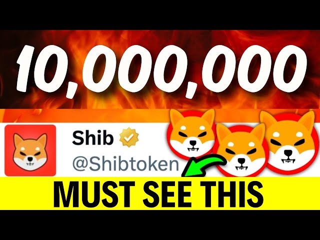 如果您持有 10,000,000 Shib，您必須查看此內容 - 今日 SHIBA INU 硬幣新聞 - SHIBA 價格預測