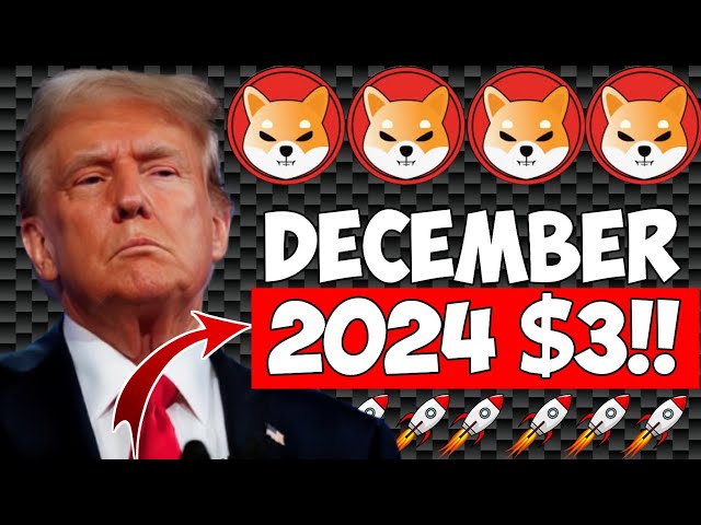 LEAKED: SHIBA YOUR NEWS!!! DECEMBER WILL MAKE US MILLIONS!!! WHY? – SHIB KAI