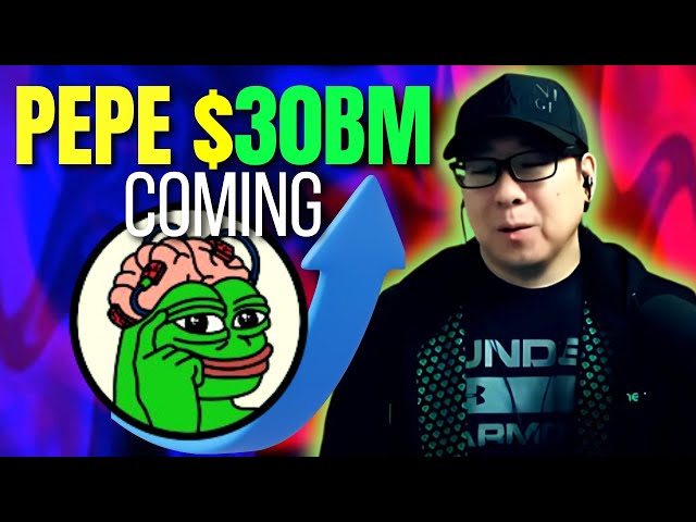 PEPE COIN WIRD IN DIESEM BULLRUN 30 Milliarde US-Dollar durchbrechen | HIER IST DER WARUM!