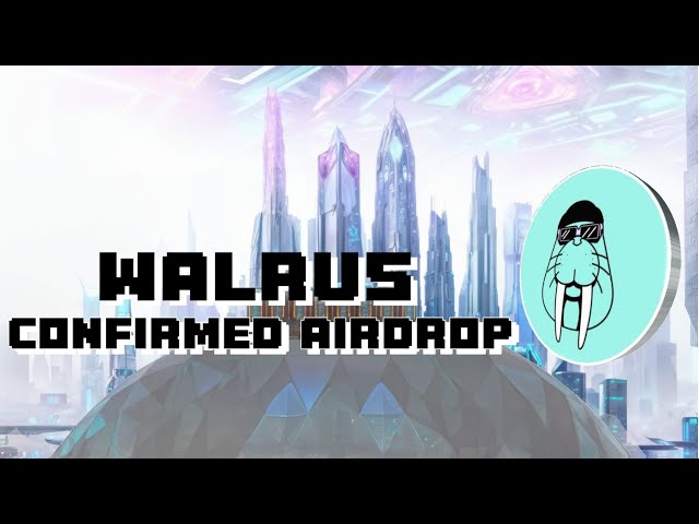 WALRUS BESTÄTIGTER AIRDROP MIT UNTERSTÜTZUNG VON SUI NETWORK | BALD JP BEGINI TUTORIAL GARAPNYA