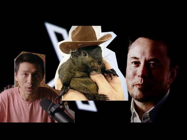 From $16 to $3,000,000?! The Wild Ride of PNUT Meme Coin | Yu Can Talk EP2 #crypto #elonmusk #pnut