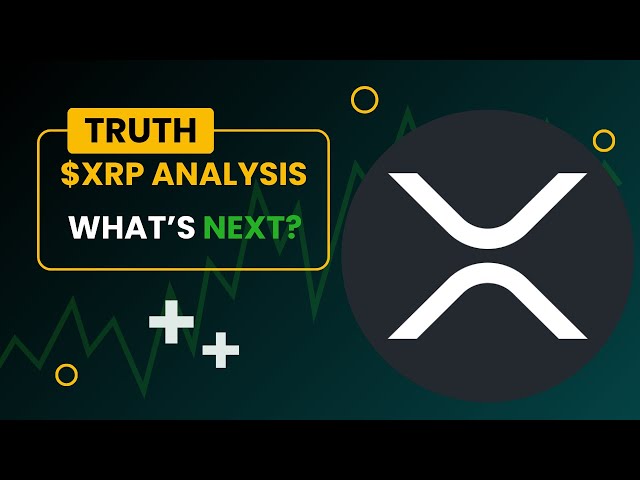 XRP 纹波持有者 - 关于 XRP 硬币分析和 XRP 价格预测的真相