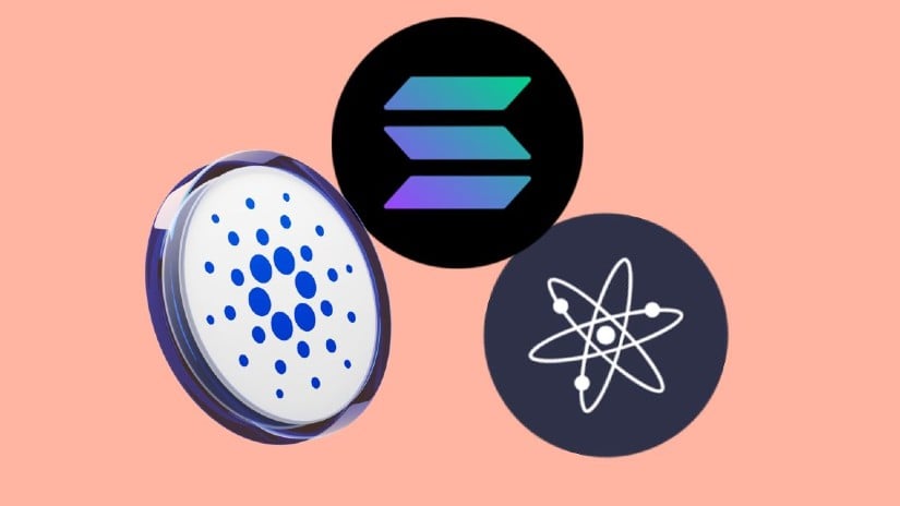 Cardano, Solana, Cosmos는 강세 모멘텀 속에서 약속을 보여줍니다