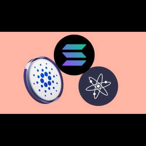 Cardano, Solana, Cosmos는 강세 모멘텀 속에서 약속을 보여줍니다