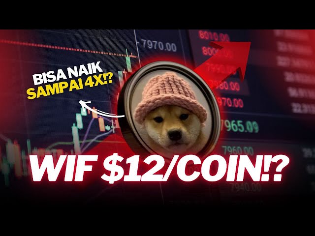 $WIF 分析 每枚代币有可能升至 12 美元吗？