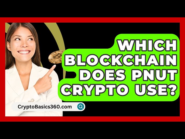 Welche Blockchain verwendet PNUT Crypto? - CryptoBasics360.com