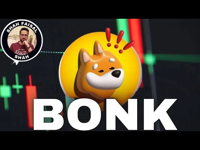 截至 2024 年 11 月 26 日的 Bonk (BONK) 代幣價格預測