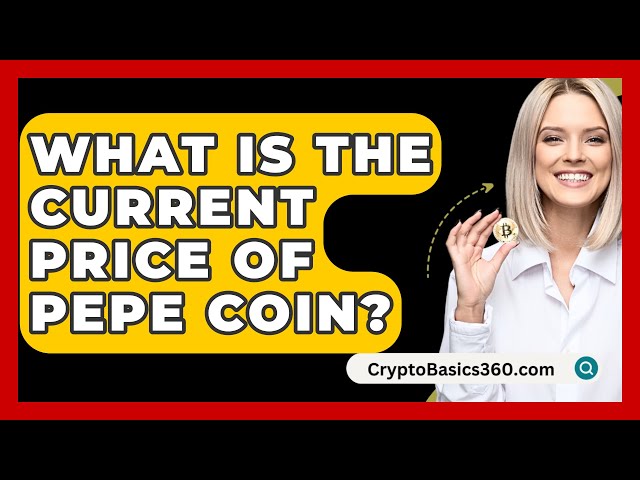 Pepe 코인의 현재 가격은 얼마입니까? - CryptoBasics360.com