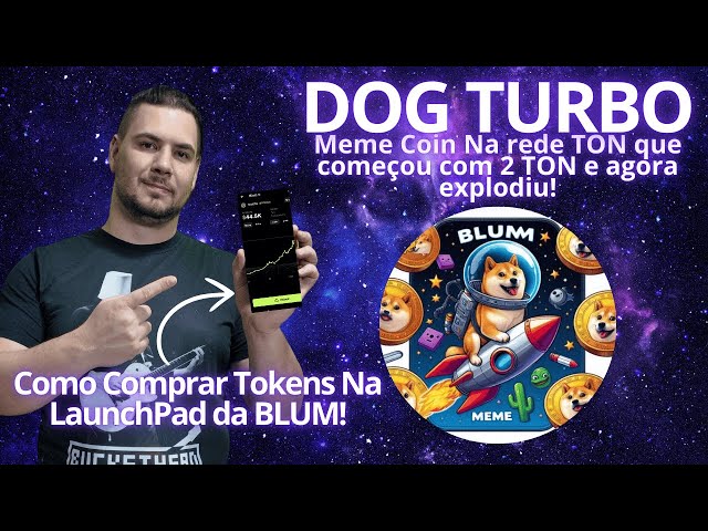 DOG TURBO - The Meme Coin that started with 2 TON and became huge! How to Buy Tokens on Launchpad BLUM