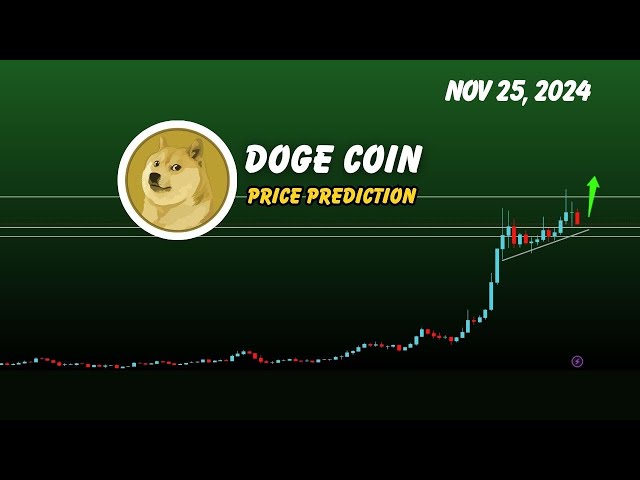 狗狗币（Doge）价格预测| Doge加密强势反弹？ 2024 年 11 月 25 日