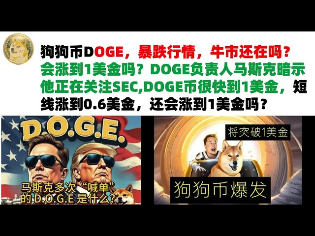 狗狗幣DOGE，暴跌行情，牛市還在嗎？會漲到1美金嗎？ DOGE負責人馬斯克暗示他正在關注SEC,DOGE幣很快到1美金，短線漲到0.6美金，還會漲到1美金嗎？馬斯克狗狗幣|DOGE行情分析!