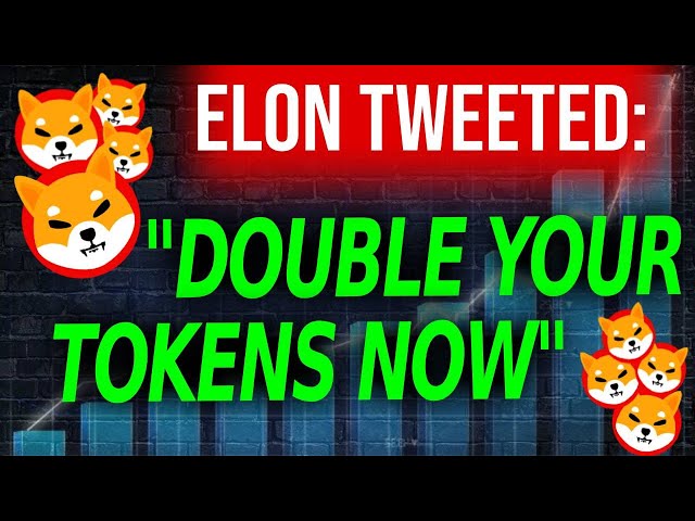 ELON MUSK는 Shiba Inu 및 Crypto에 210억 달러를 투자할 예정입니다! SHIB가 폭발합니다!! - 시바견 암호화폐