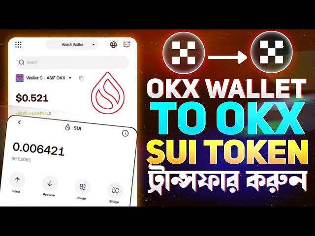 OKX 钱包到 OKX 钱包 SUI 代币转账 |将 SUI 代币 OKX 钱包发送到另一个 OKX 钱包 |