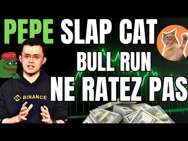 💥 Pepe: der SLAP CAT-Memecoin, der Pepe und Shiba Inu eine Ohrfeige gibt (Listung auf Binance?)