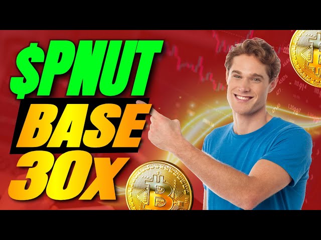 Pnut On Base ($PNUT) 밈 코인 | $PNUT 코인의 미래 예측