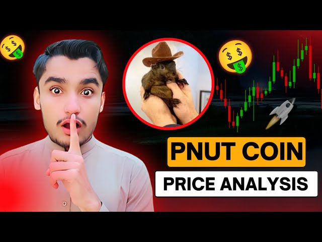 PNUT Coin Price prediction and News Today | PNUT Coin Crashed | PNUT Coin Updates & Analysis! #pnut