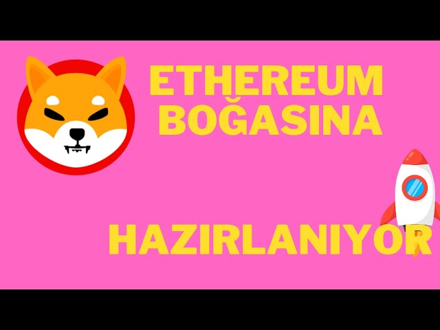 SHİB COIN은 이더리움 황소를 준비하고 있습니다!