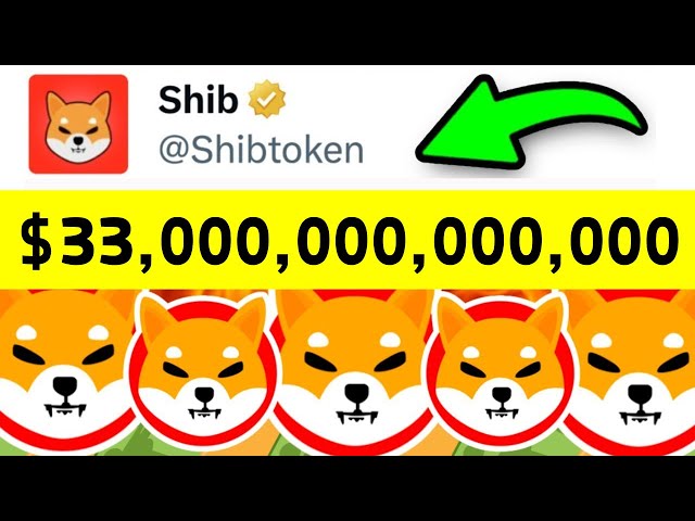 SHIBA INU COIN NEWS HEUTE: ELON MUSK HAT ES EINFACH GEHABT!! 33.000.000.000.000 $ SHIBA-INU-Wahnsinn! SHIBA INU