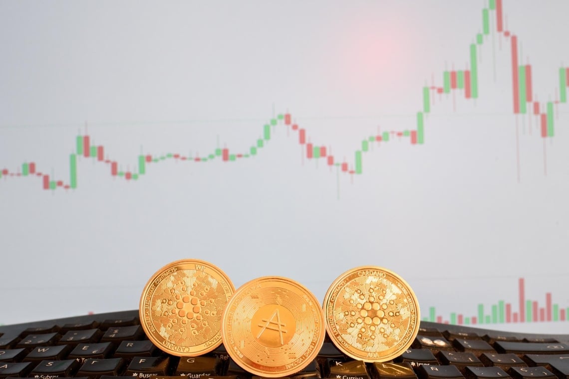 Bitcoin Cash (BCH) et Cardano (ADA) captent l'attention du marché avec des performances extraordinaires