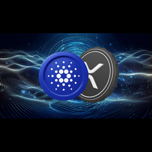 Cardano and RCO Finance Emerge as Potential Crypto Trading Leaders