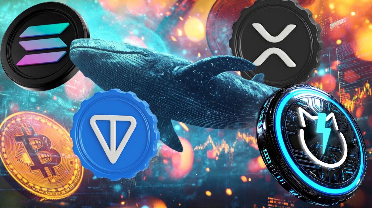 Why Crypto Whales Are Secretly Accumulating Solana (SOL), XRP, JetBolt (JBOLT), and Toncoin (TON)