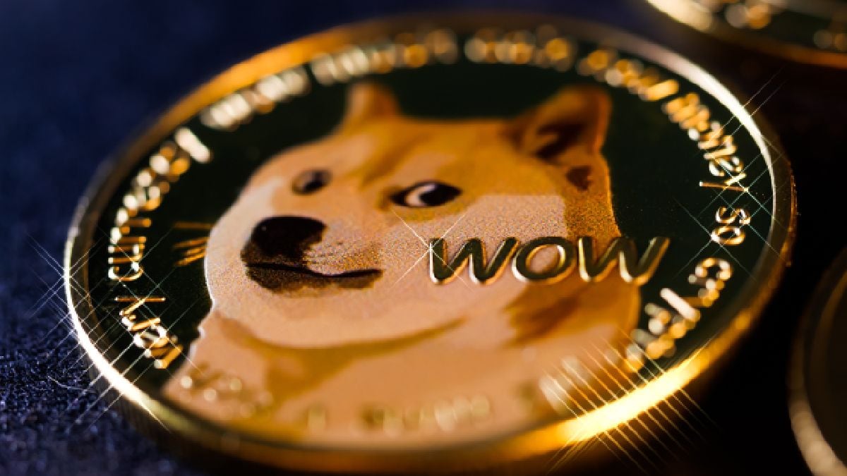 The Dogecoin Foundation is looking to raise funding now that the re-election of Donald Trump as the US President has rallied the crypto market to record highs