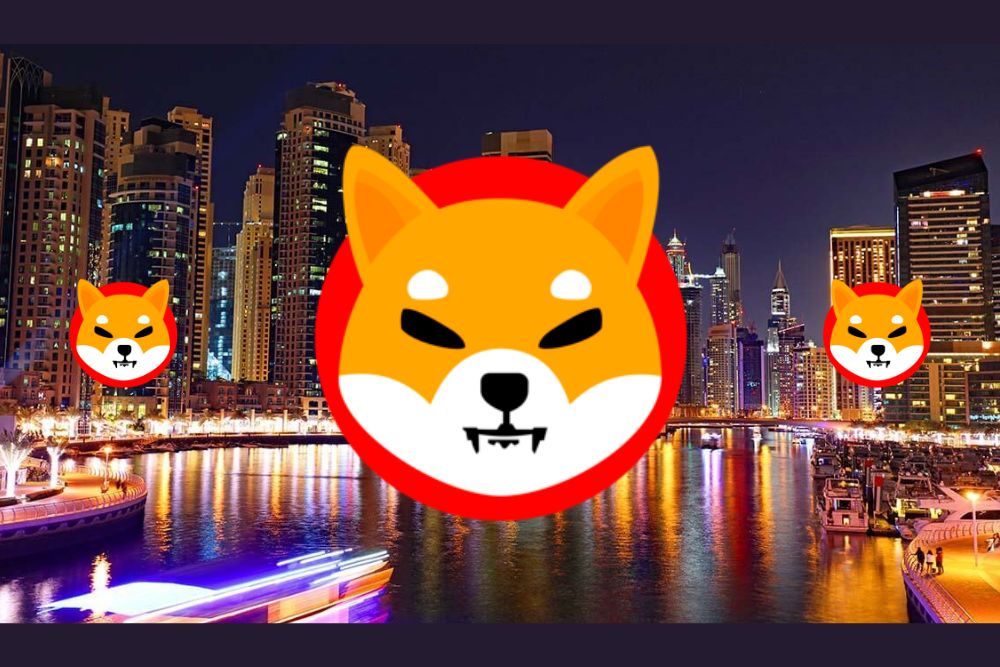 柴犬 (SHIB) 和狗狗币 (DOGE) 被评为 MetaMask 表现最佳的资产