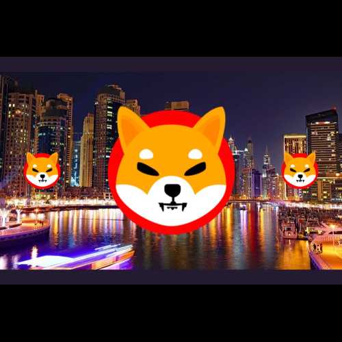 柴犬 (SHIB) 和狗狗幣 (DOGE) 被評為 MetaMask 表現最佳的資產